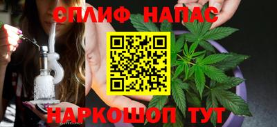 амф Дубна