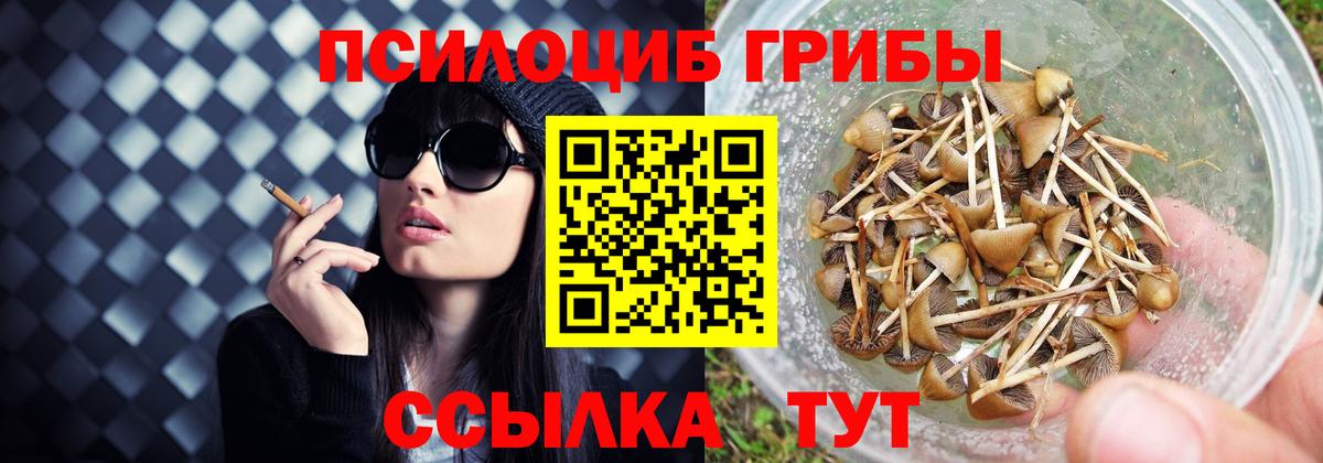 Галлюциногенные грибы мухоморы  Вход с VPN  Арсеньев 