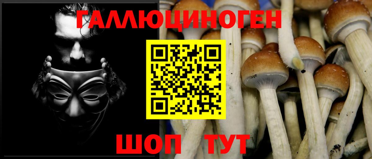 Псилоцибиновые грибы ЛСД Арсеньев
